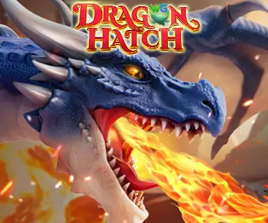 Dragon Hatch